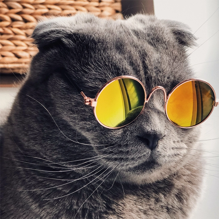 Avatar Option #2